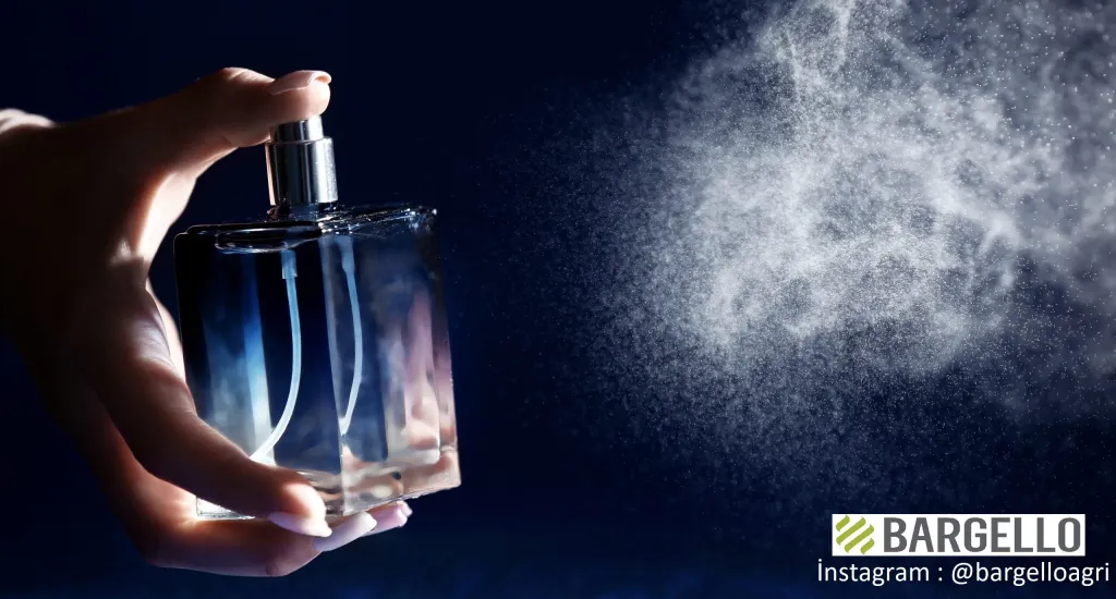 En İyi Erkek Parfümü | Best Perfume for men