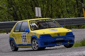 Miglior auto da rally