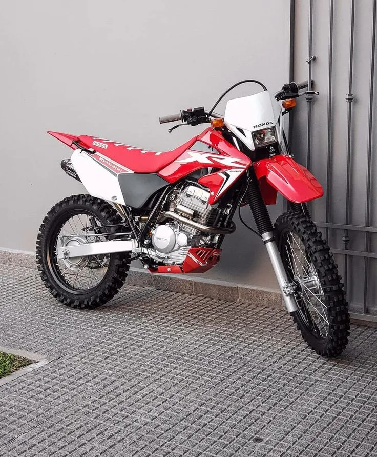 What bike to buy new