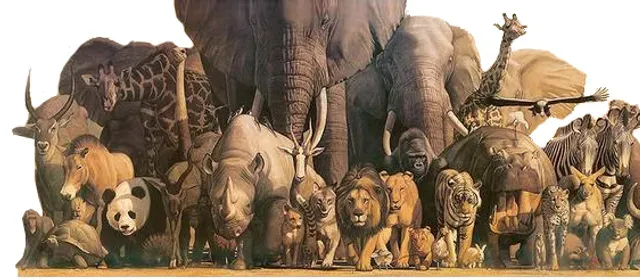 Best Animal in the world