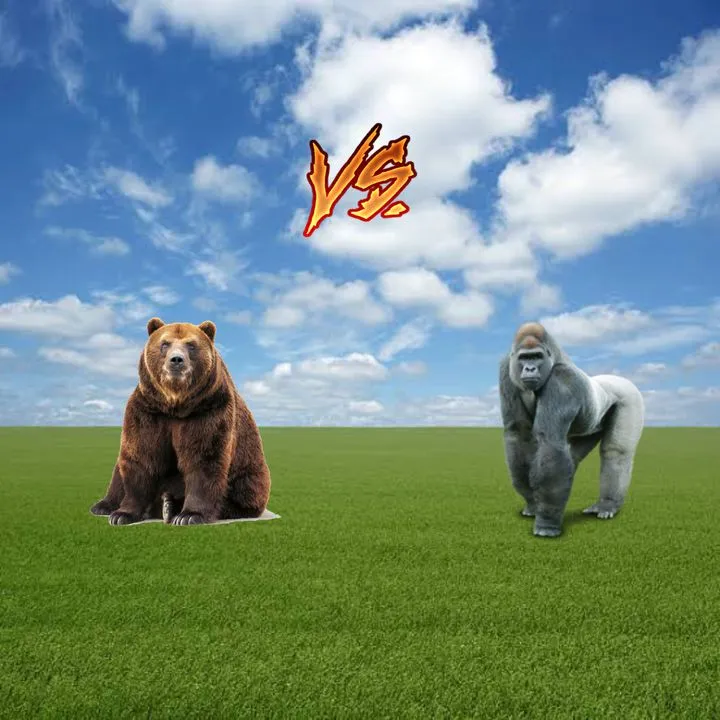 1v1 Animal Tournament