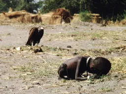 The Vulture and the Little Girl