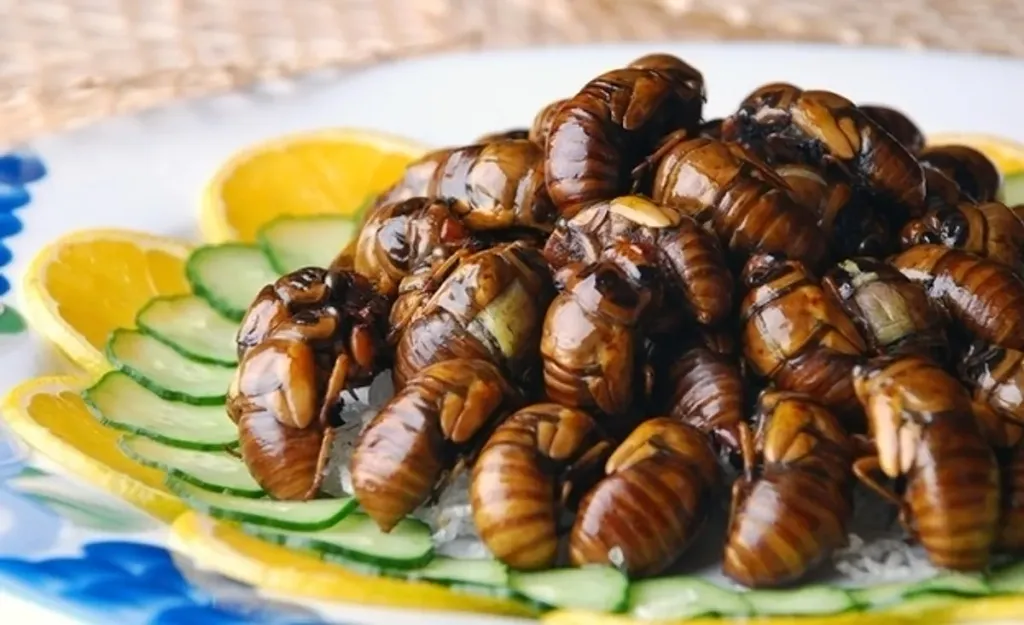 Dünyanın En Kötü Yemeği