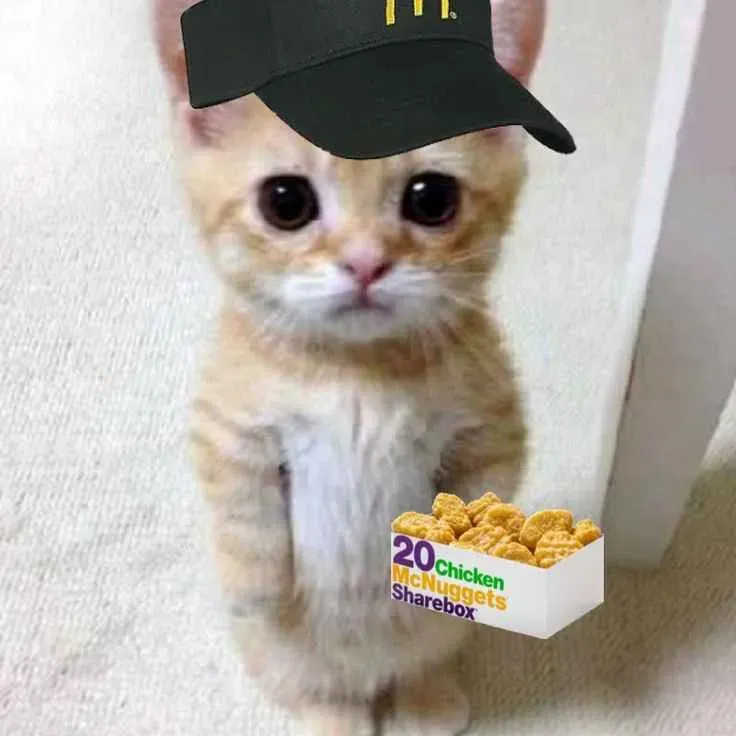 MAJOR