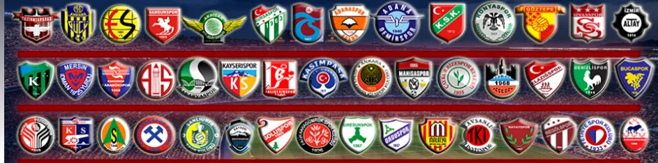 En iyi Anadolu Kulüp Yabancı Oyuncusu