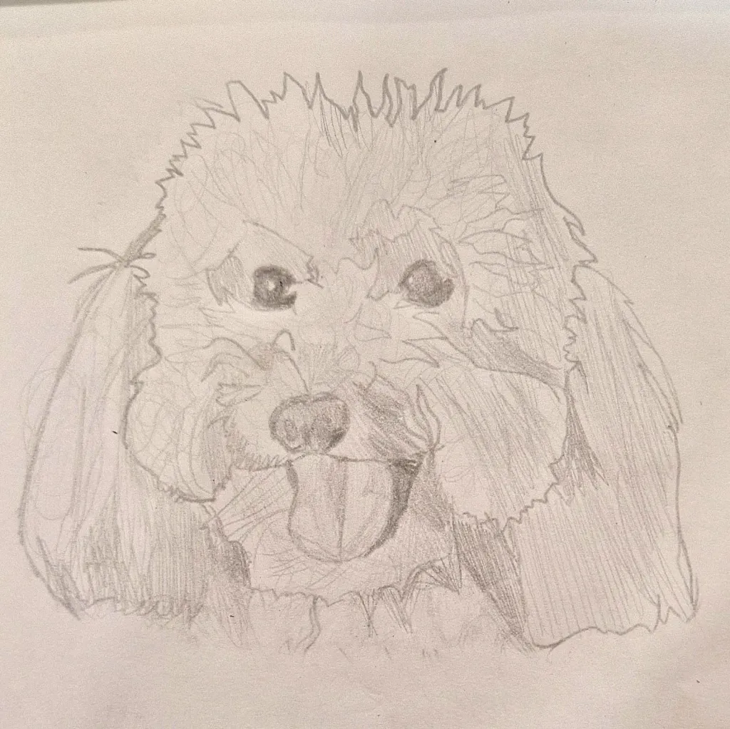 My 2024 drawings
