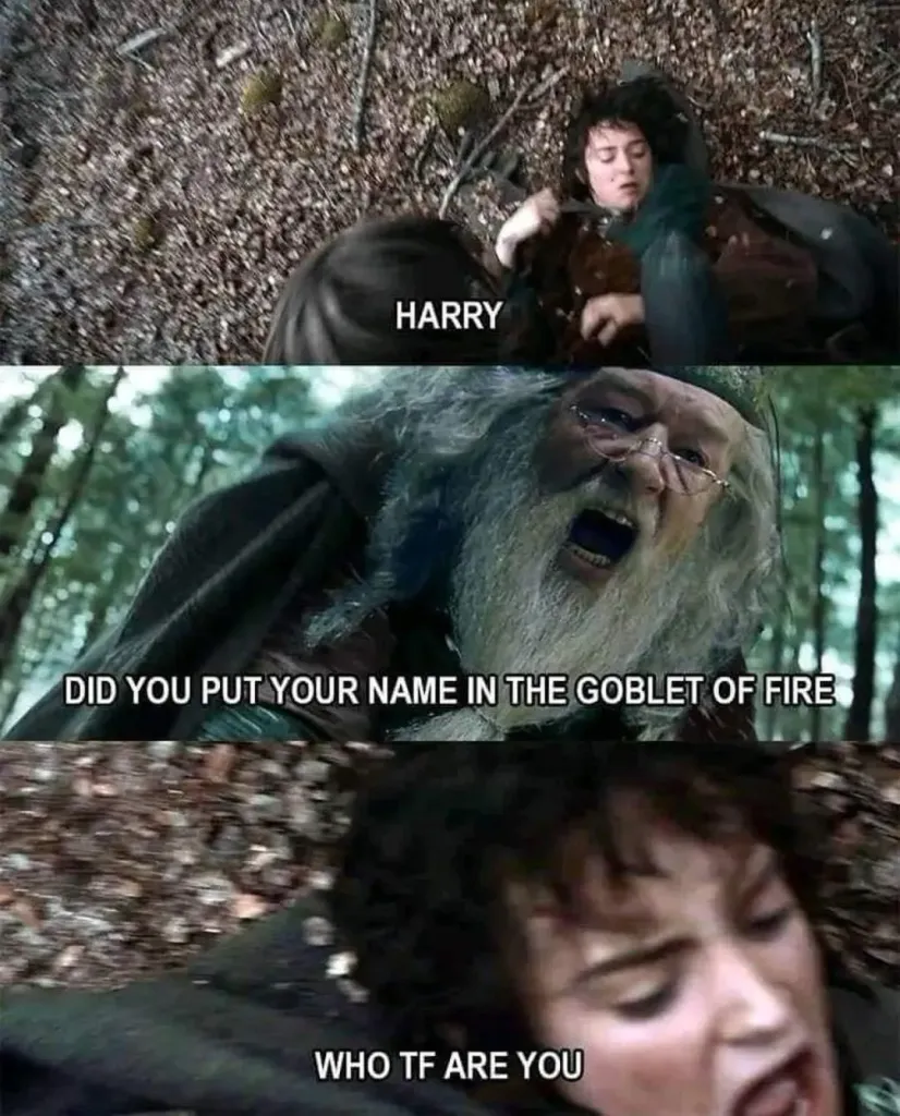 Harry Potter Best Characters
