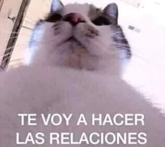 Mujeres 2.5