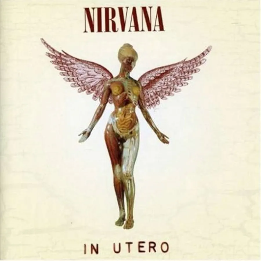 ALBUM GRUNGE ---64 DISCHI---