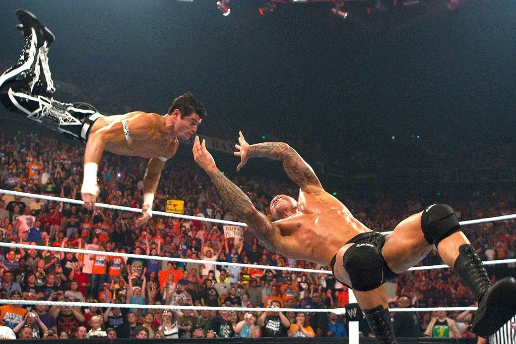 Best WWE Finisher