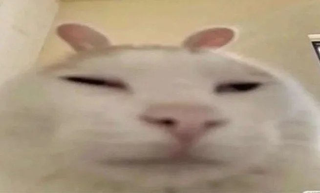 hmmm