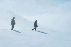 FILM DI SOPRAVVIVENZA 