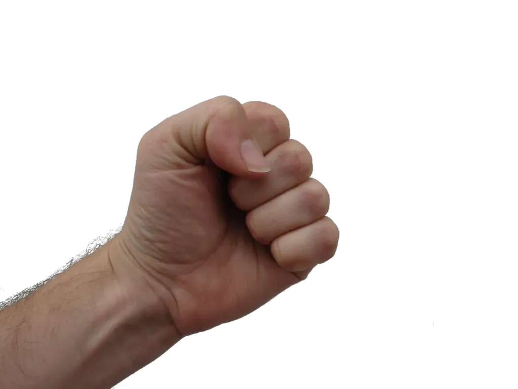 Who Would Win In A Fight