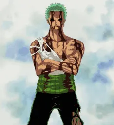 Zoro : "Il ne s'est rien passé" 