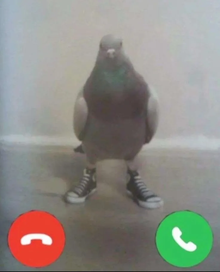 En iyi telefon araması hangisi?