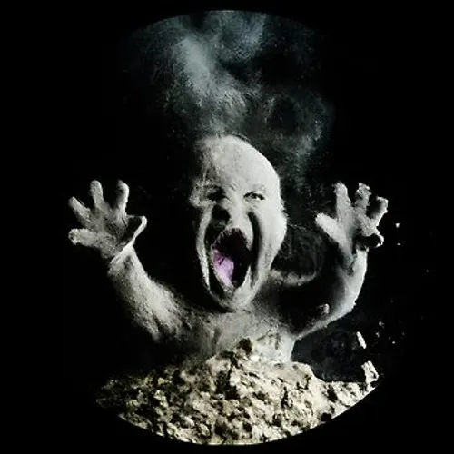 Ok pero que si robo la idea de Fran