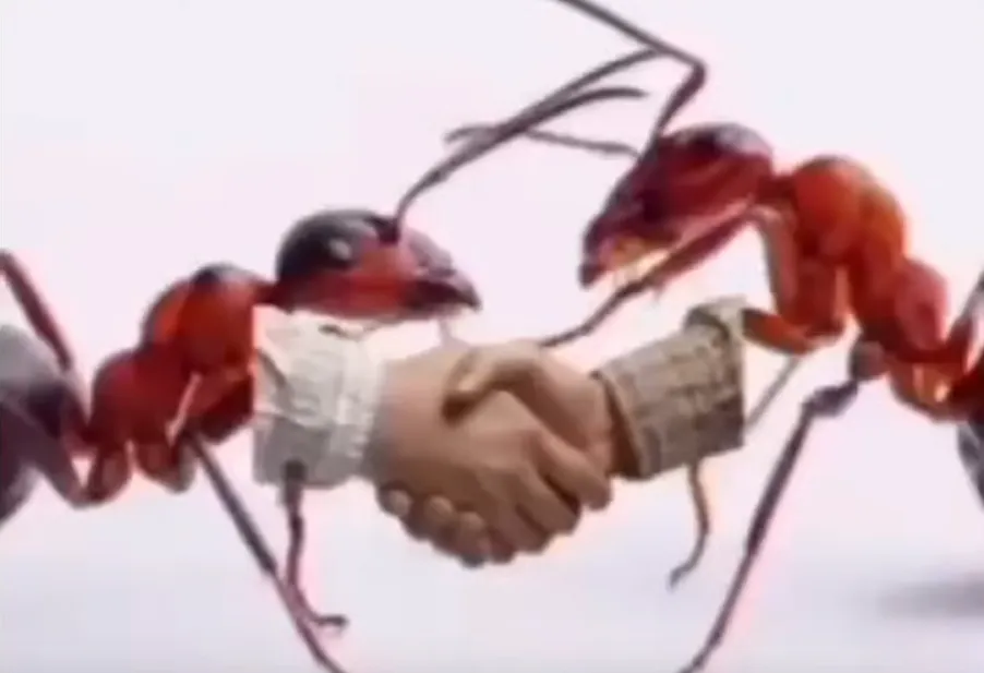 Anime Fights