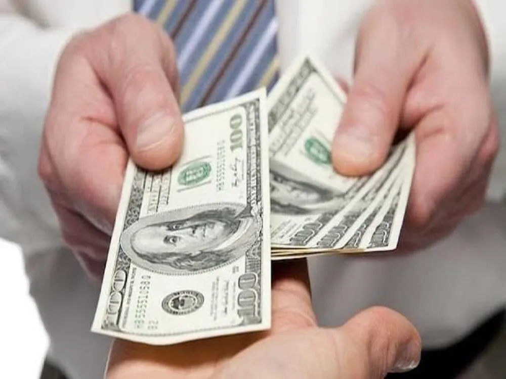 Hangi Holyphoenix çarına borç verirsin