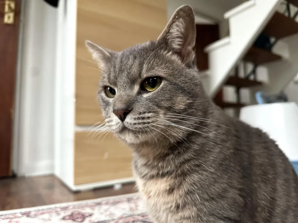 Saat 21.00-22.00 agalarla en saracak yiyecek