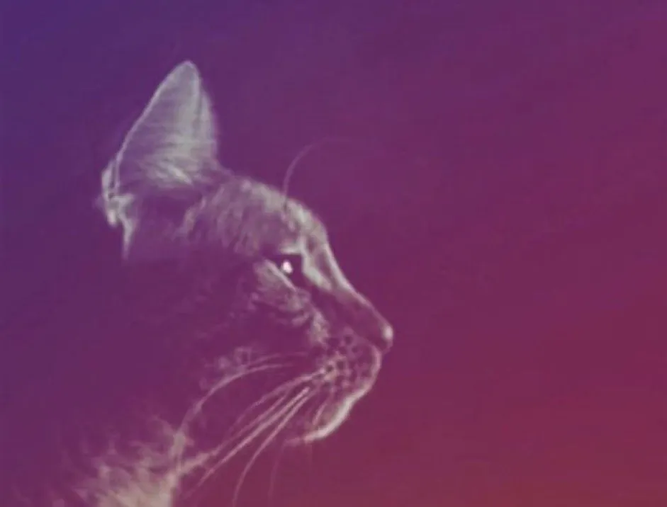 Boss les plus durs du jeu vidéo