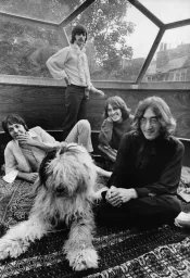 Beatles