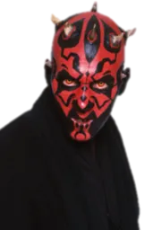 Zabrak