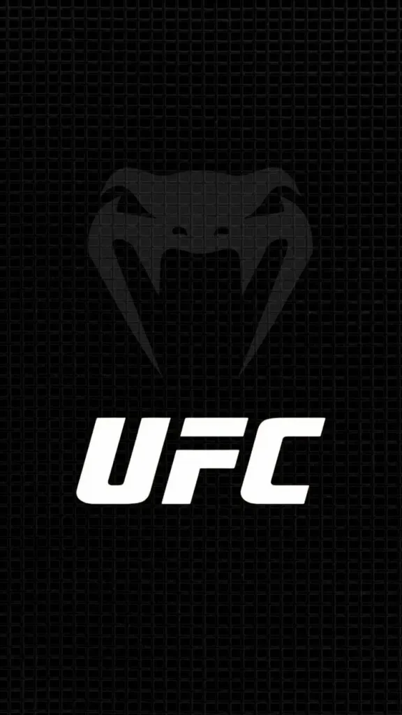 Gelmiş Geçmiş En İyi UFC Dövüşçüsü