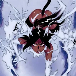 Yoruichi Shihōin