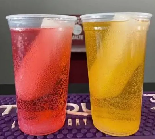 QUAL A MELHOR BEBIDA ALCOÓLICA PARA BEBER EM UM ROLÊ?