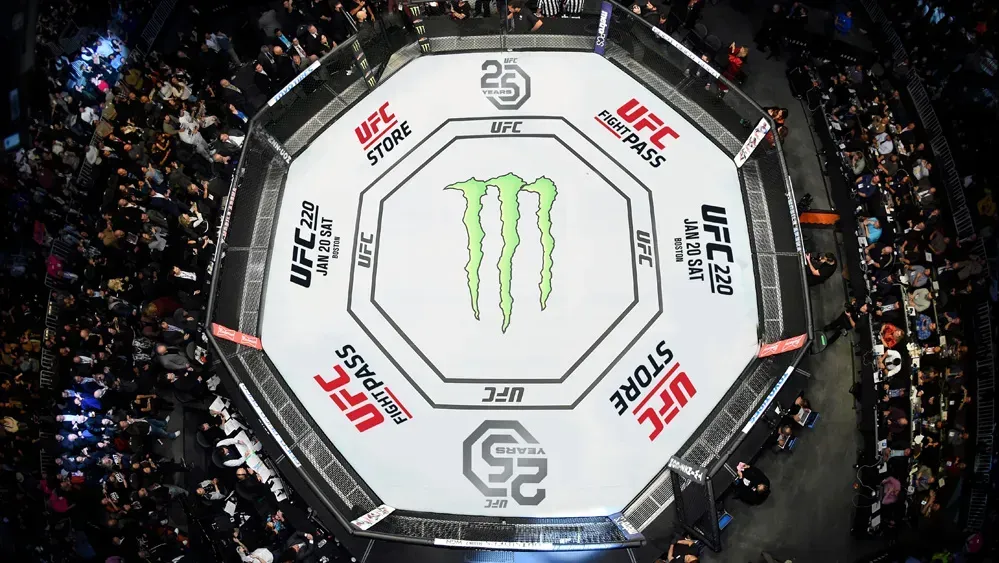 If You Were an MMA Fighter, What Would You Want to Have?
