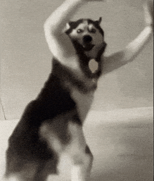 En İyi İnstagram Gifleri