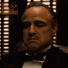 Don Vito Corleone