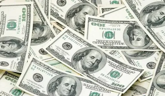 1 MİLYON DOLAR İÇİN NE YAPARDIN