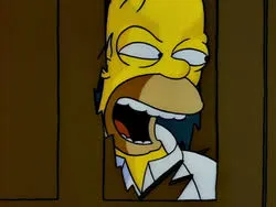 The Shinning