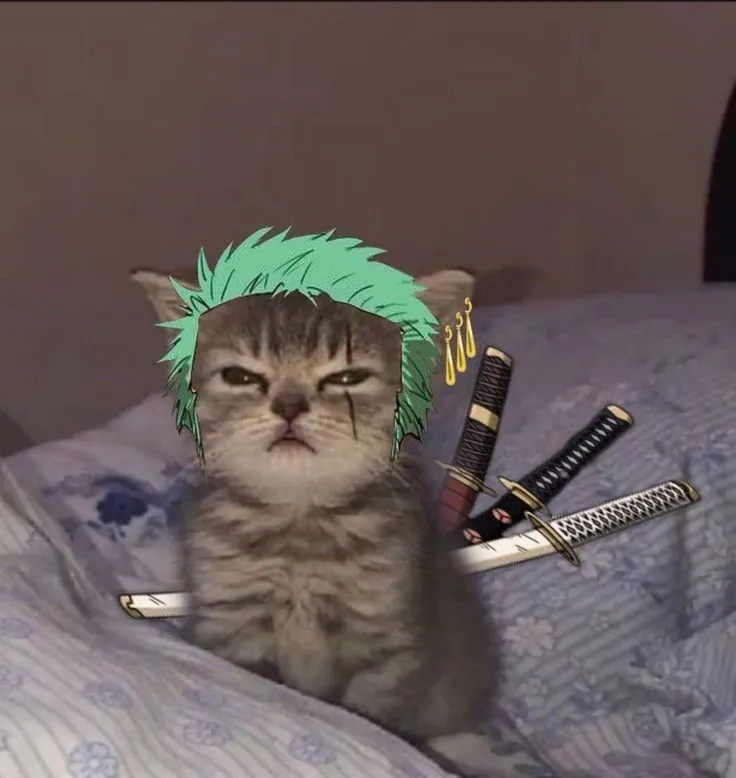 Anime Edit Sıralama