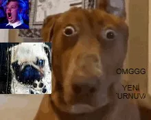 EN İYİ SENİYYE PADİŞAHI