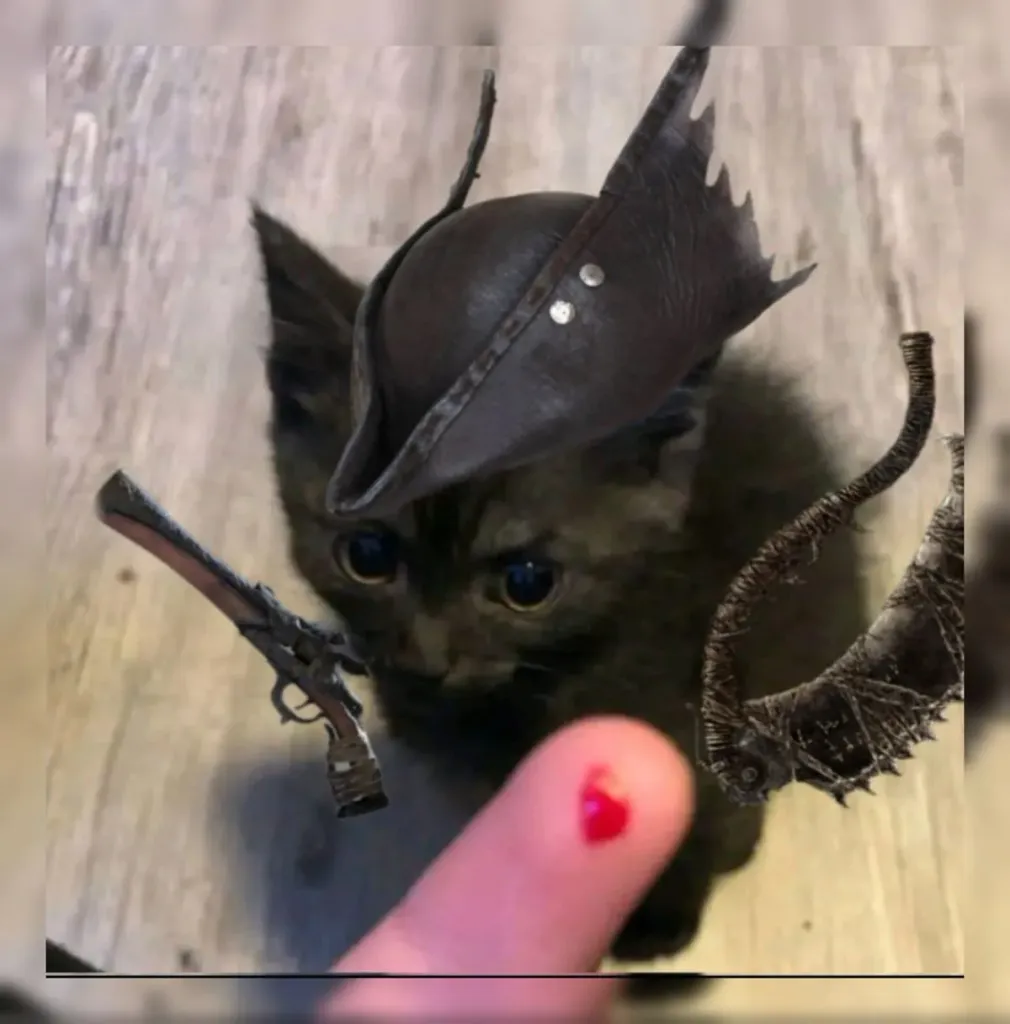 En İyi Oyun Müziği (Gerçek Patron İşi) (Zade Özel)