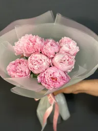 🌺 Şakayık
