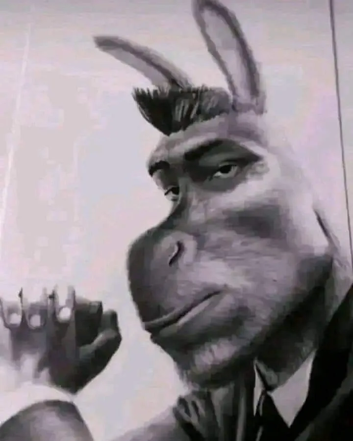 O que você 🫵🏼 faria para se aposentar