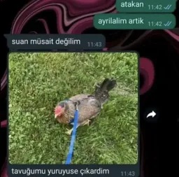 ‎ 