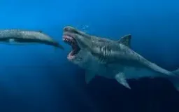 Megalodon