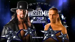 vs Shawn Michaels - Wrestlemania 25