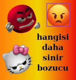 hangisi daha sinir bozucu