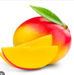 Mangue