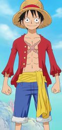Monkey D.Luffy (One Piece)