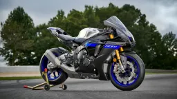 R1M