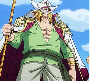 en iyi filler arc/nijuni/one piece