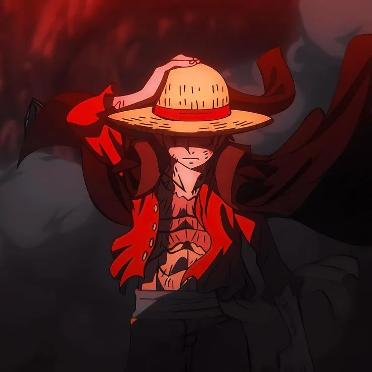 En iyi Luffy outfit/nijuni/one piece