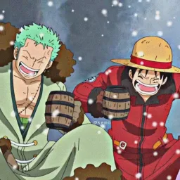 Roronoa Zoro ve Monkey.D.Luffy 