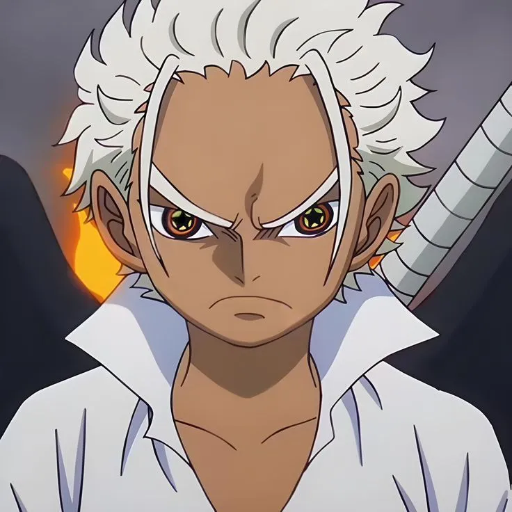 özel flashback one piece (harcandı)